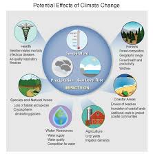 EFFECTS OF CLIMATE CHANGE